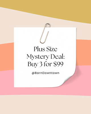 Plus Size Mystery Deal: 3 for $99